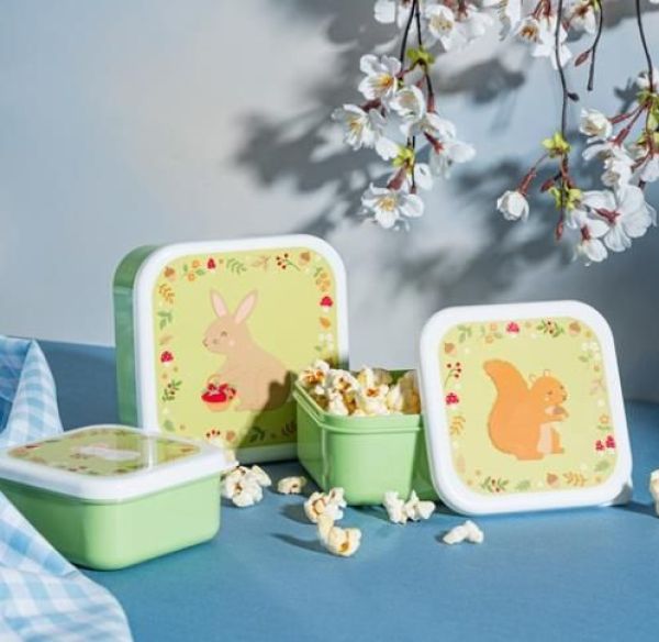 Sass & Belle Garden Friends Lunch Boxes - Set of 3  (MAXI064) - Schoenen Caramel (Sint-Job-in-’t-Goor)