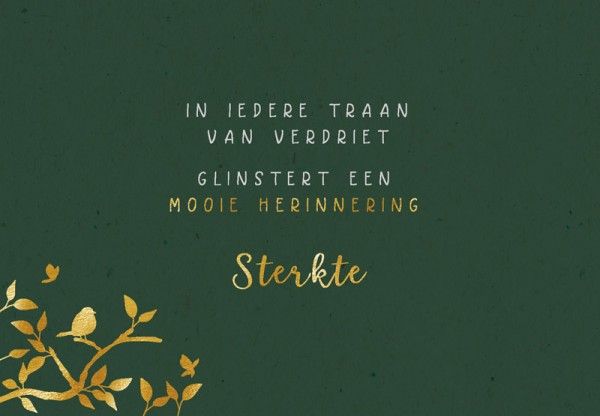 Hartung Greetings 'In Iedere Traan... '  (57997) - Schoenen Caramel (Sint-Job-in-’t-Goor)